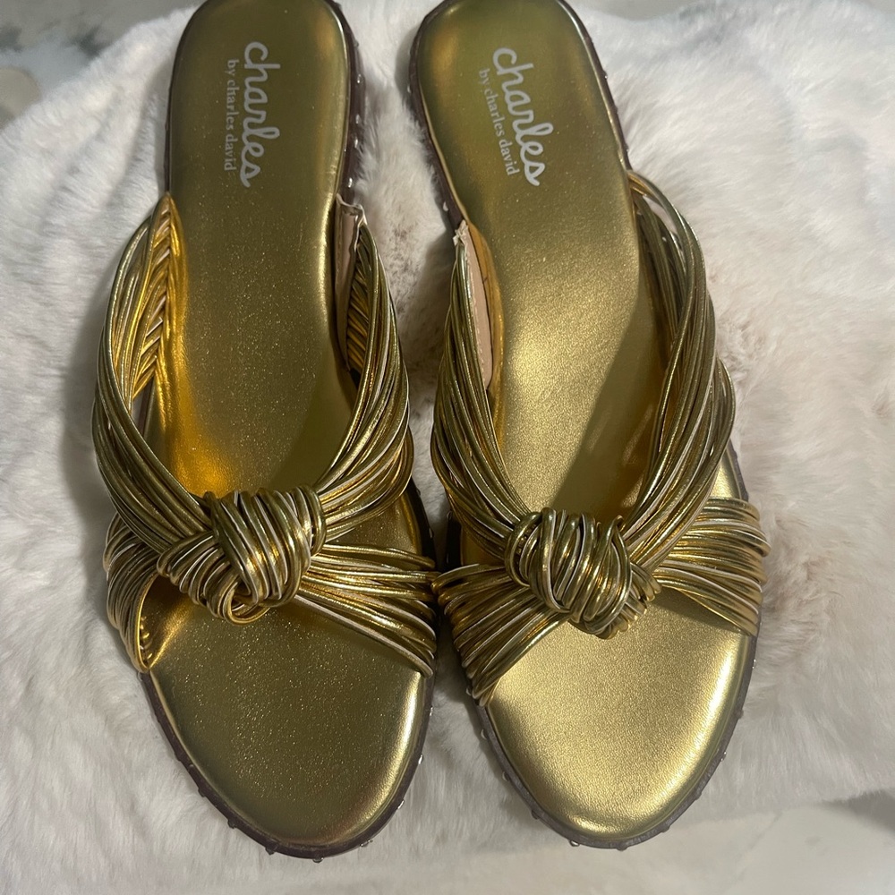 Charles By Charles David Knot Sandals
